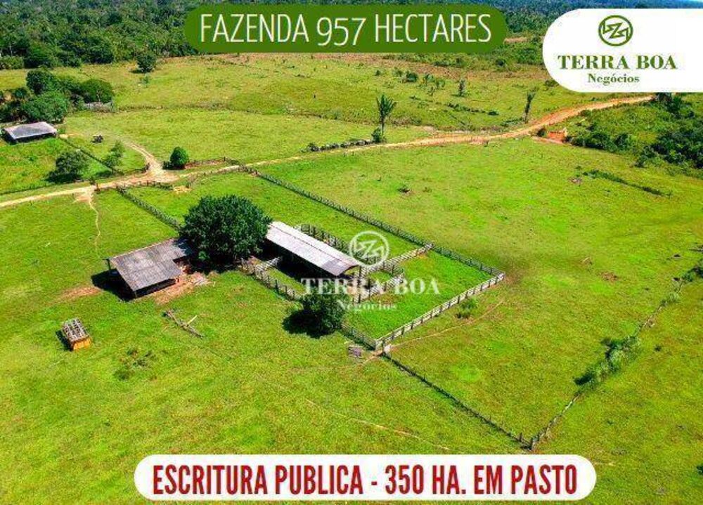 Fazenda, 957 hectares - Foto 1