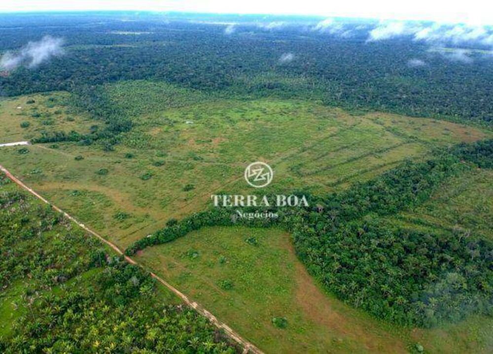 Fazenda, 957 hectares - Foto 11