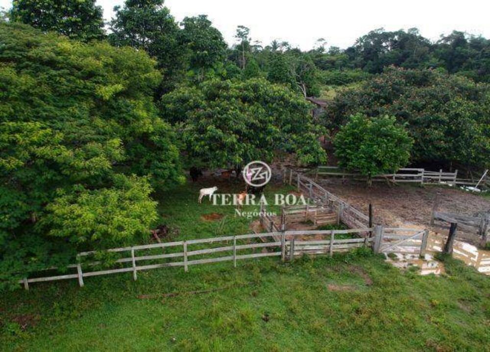 Fazenda, 957 hectares - Foto 8