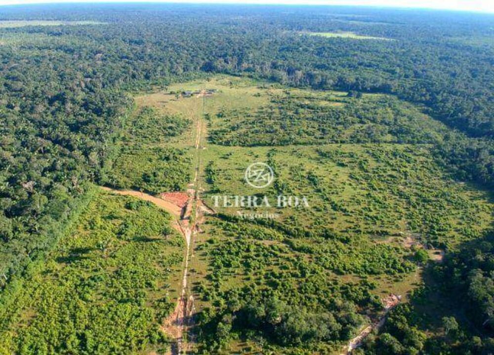 Fazenda, 957 hectares - Foto 6
