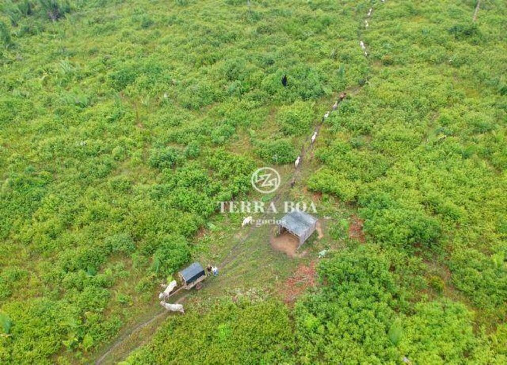Fazenda, 957 hectares - Foto 2
