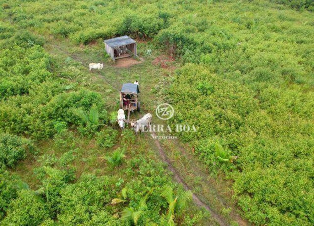 Fazenda, 957 hectares - Foto 3