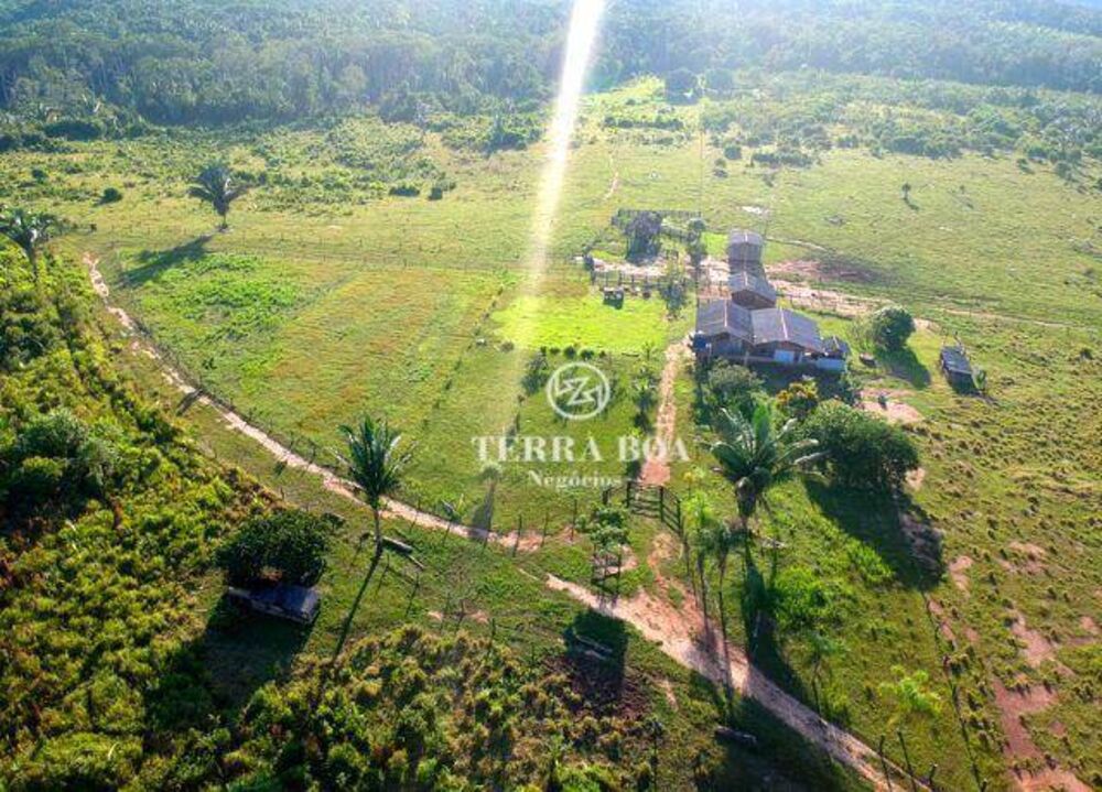 Fazenda, 957 hectares - Foto 5