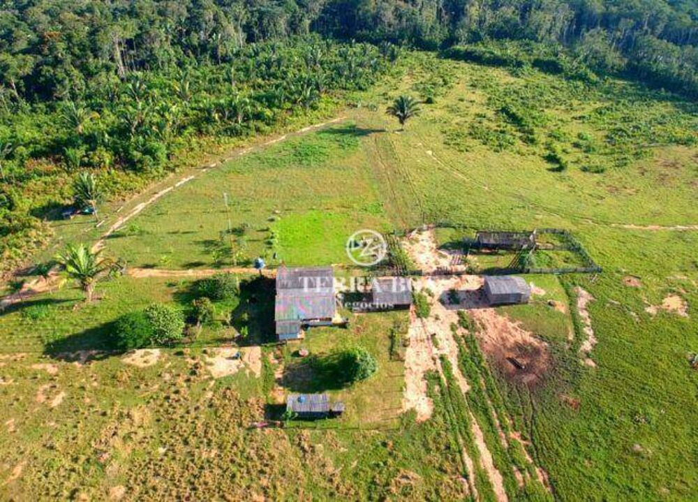 Fazenda, 957 hectares - Foto 7