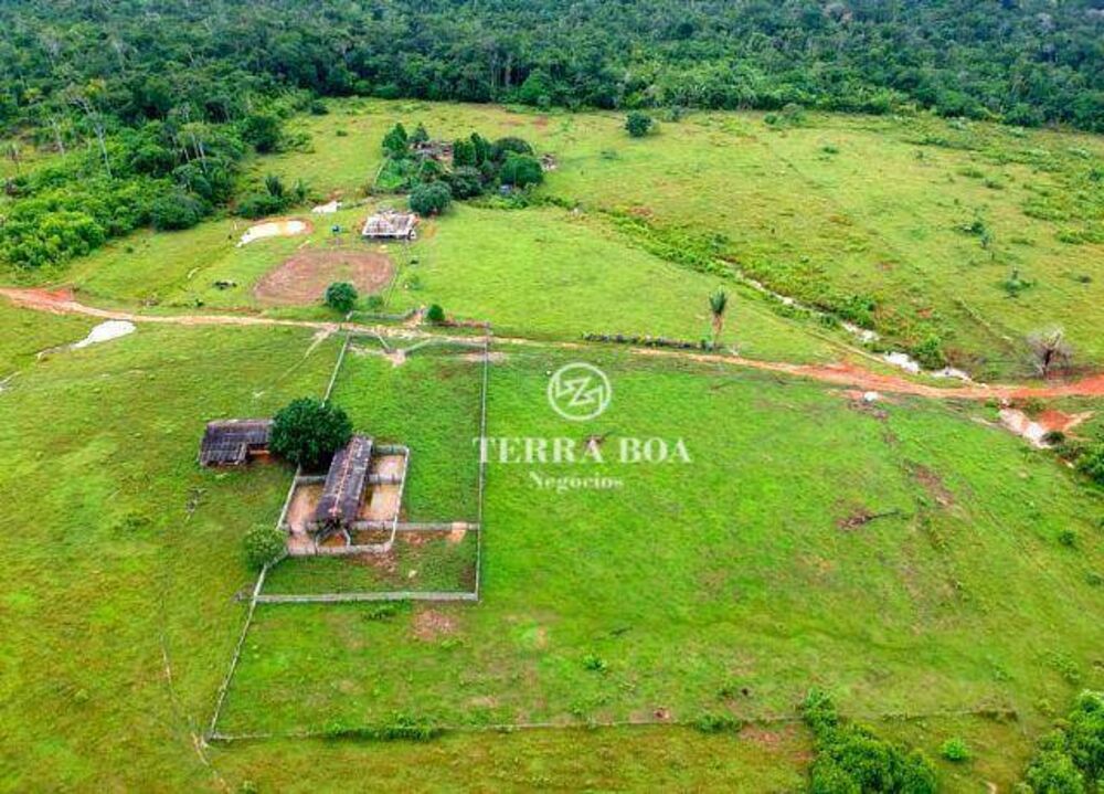 Fazenda, 957 hectares - Foto 9