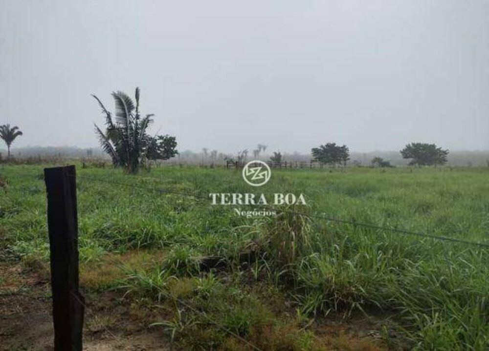 Sítio, 44 hectares - Foto 4