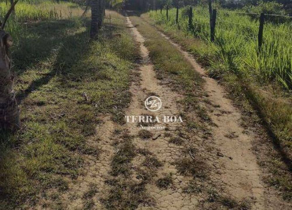 Sítio, 44 hectares - Foto 3