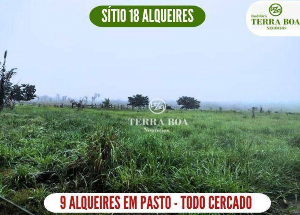 Sítio, 44 hectares - Foto 5