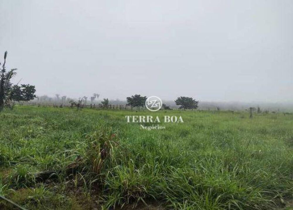 Sítio, 44 hectares - Foto 12