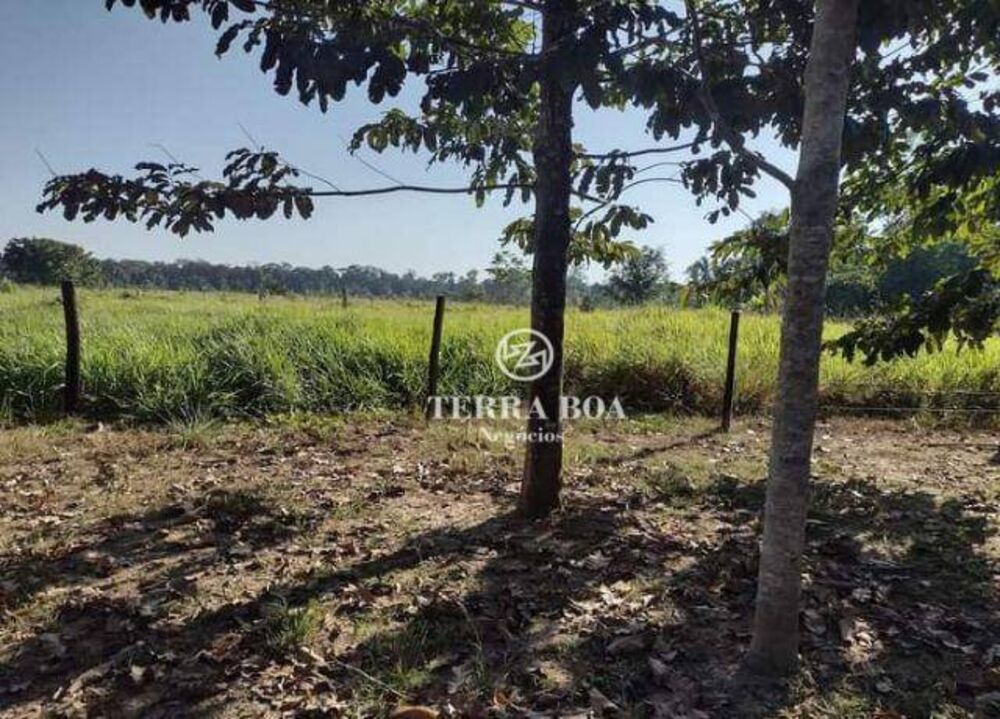 Sítio, 44 hectares - Foto 1