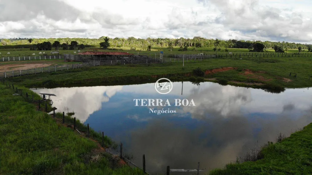 Fazenda, 397 hectares - Foto 6