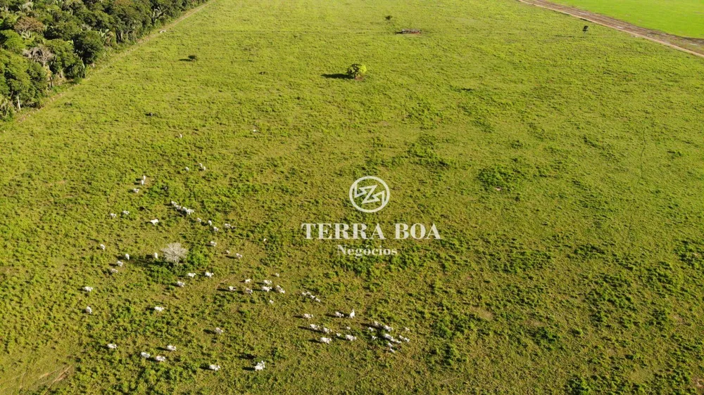Fazenda, 397 hectares - Foto 11