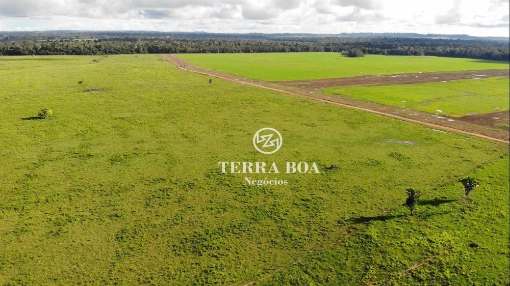 Fazenda, 397 hectares - Foto 15