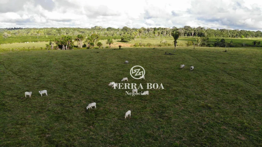 Fazenda, 397 hectares - Foto 9