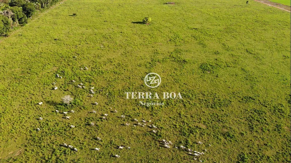 Fazenda, 397 hectares - Foto 19