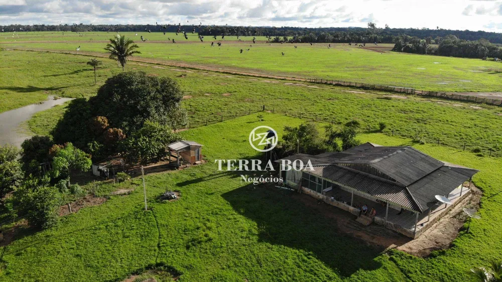 Fazenda, 397 hectares - Foto 4