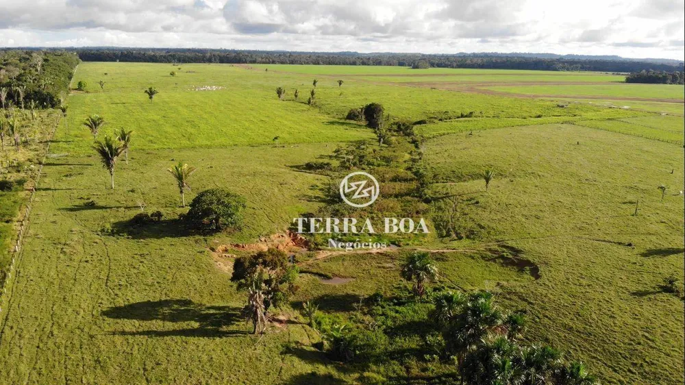 Fazenda, 397 hectares - Foto 17
