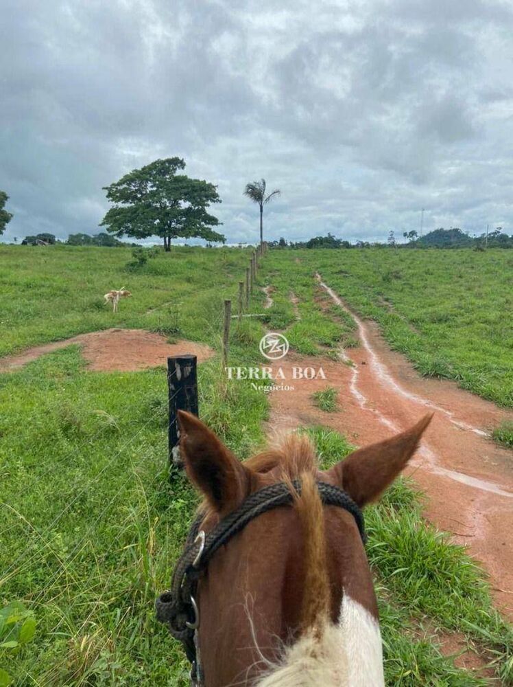 Fazenda à venda, 1452000M2 - Foto 11
