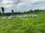 Fazenda, 145 hectares - Foto 2