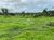 Fazenda, 145 hectares - Foto 1