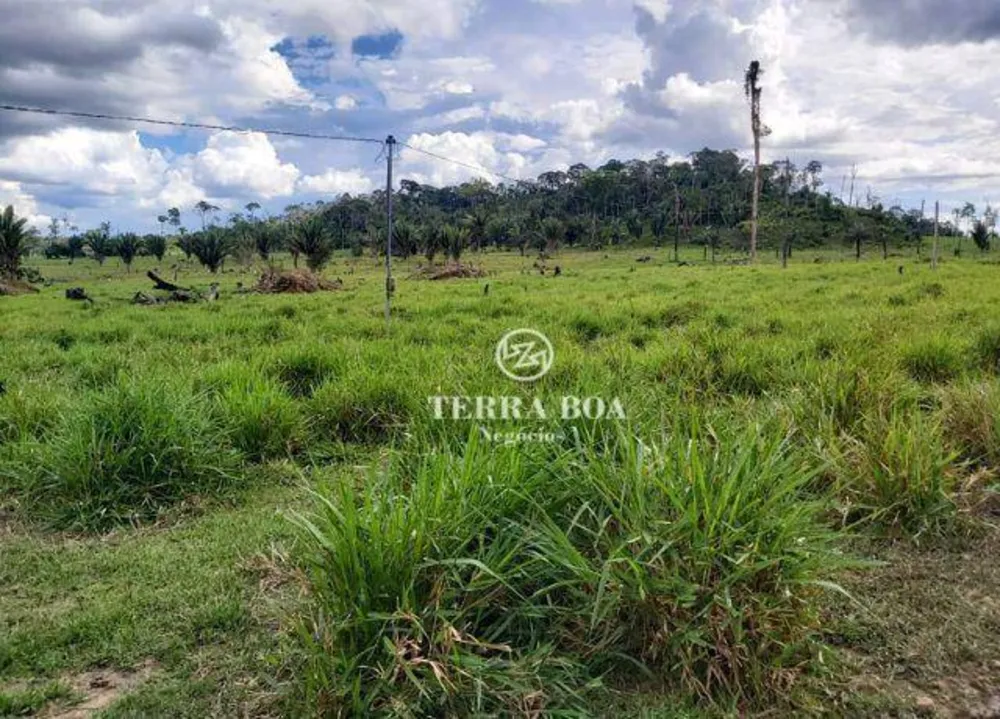Fazenda, 169 hectares - Foto 8