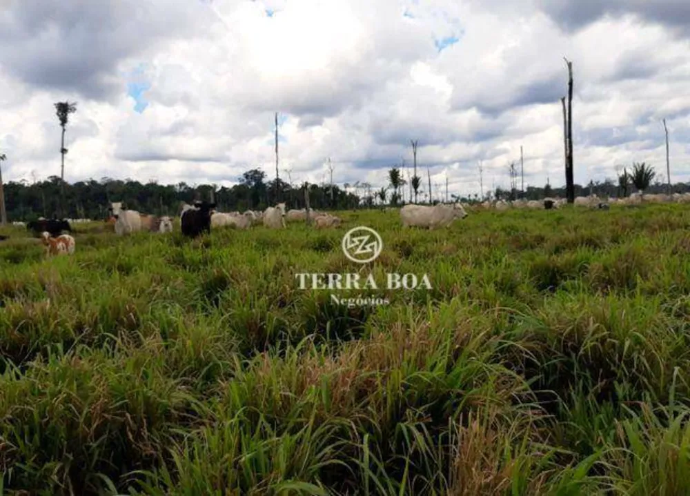 Fazenda, 169 hectares - Foto 11