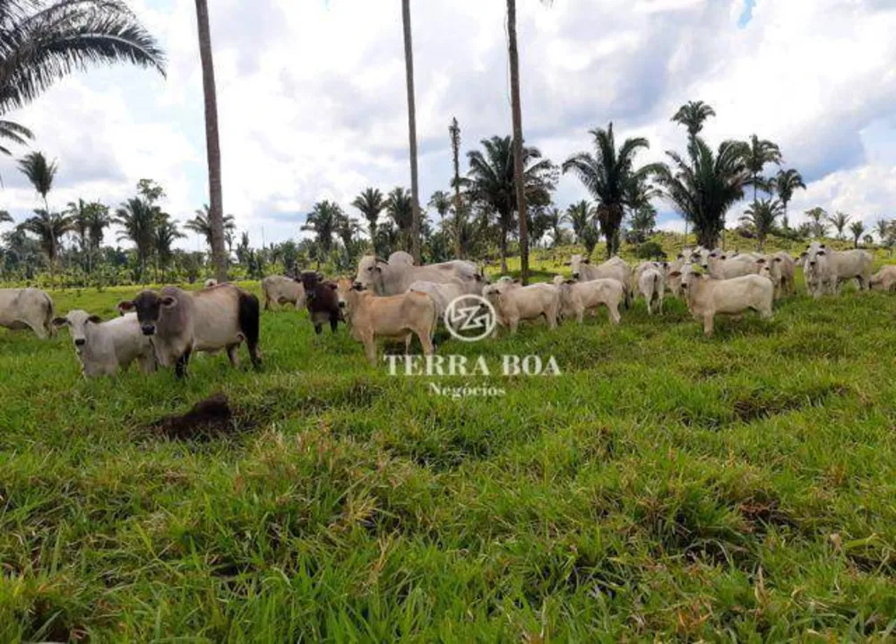Fazenda, 169 hectares - Foto 19