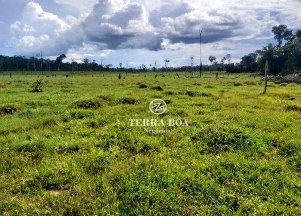 Fazenda-Sítio-Chácara, 169 hectares - Foto 3