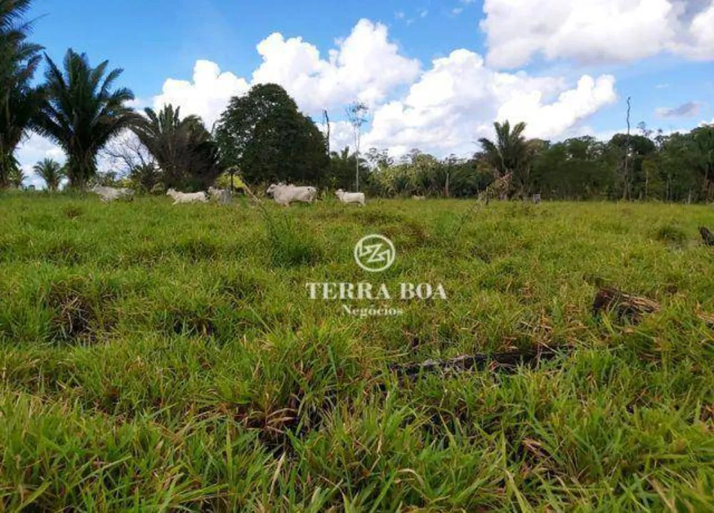 Fazenda, 169 hectares - Foto 10