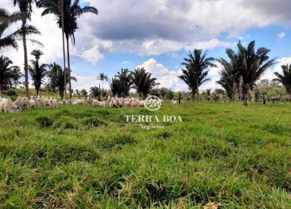 Fazenda-Sítio-Chácara, 169 hectares - Foto 8