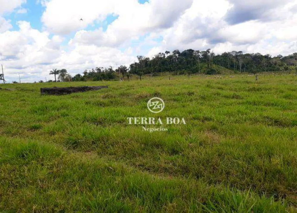 Fazenda, 169 hectares - Foto 13