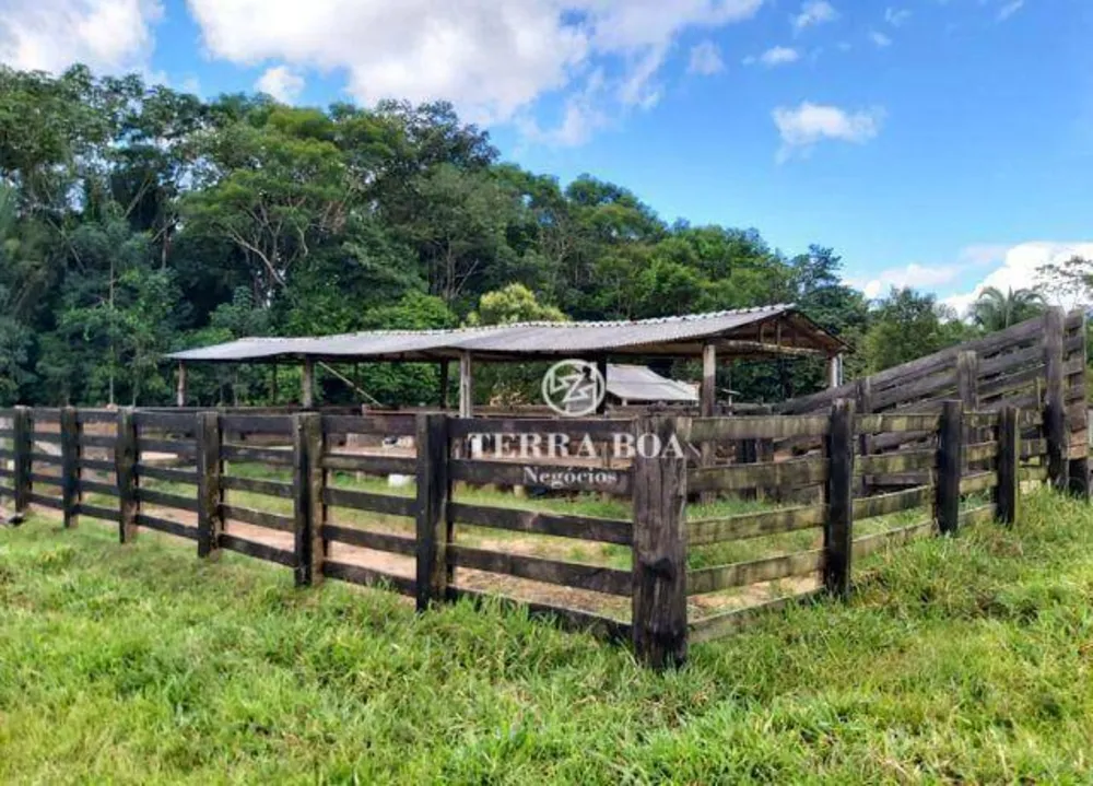 Fazenda, 169 hectares - Foto 9