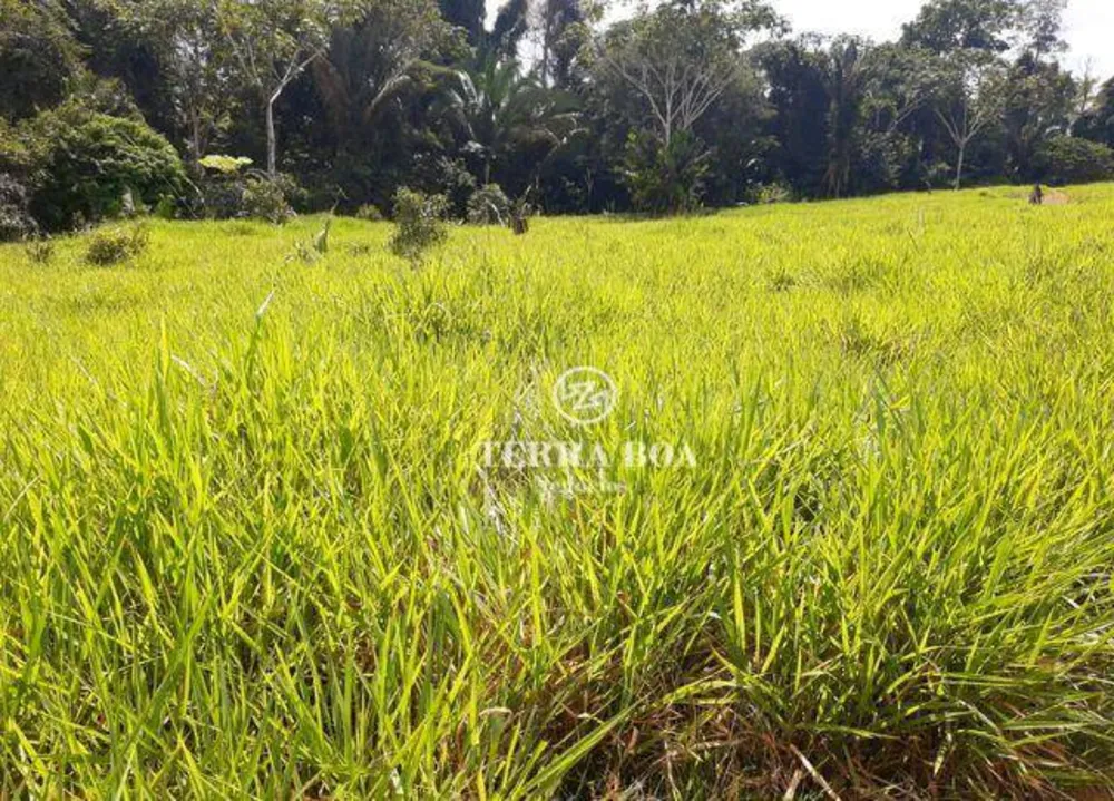 Fazenda, 169 hectares - Foto 20