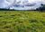 Fazenda, 169 hectares - Foto 3