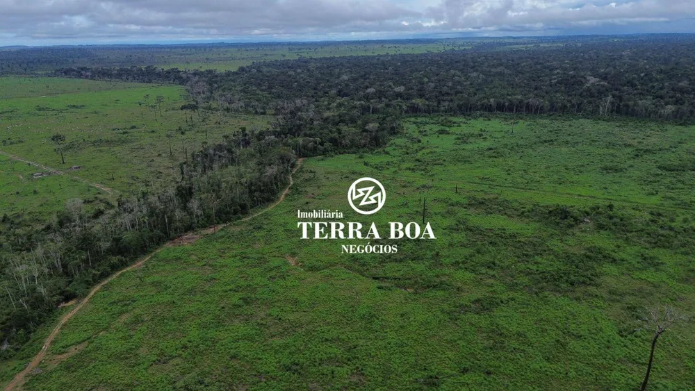 Fazenda, 4090 hectares - Foto 4