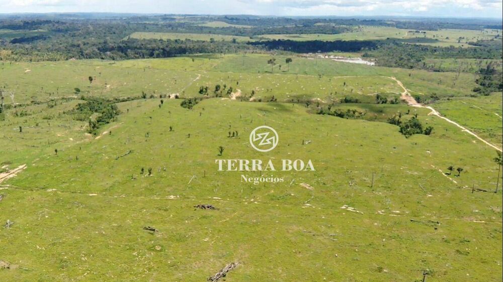 Fazenda, 387 hectares - Foto 2