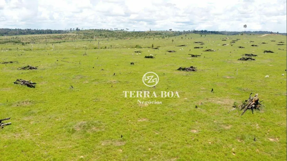 Fazenda, 387 hectares - Foto 4