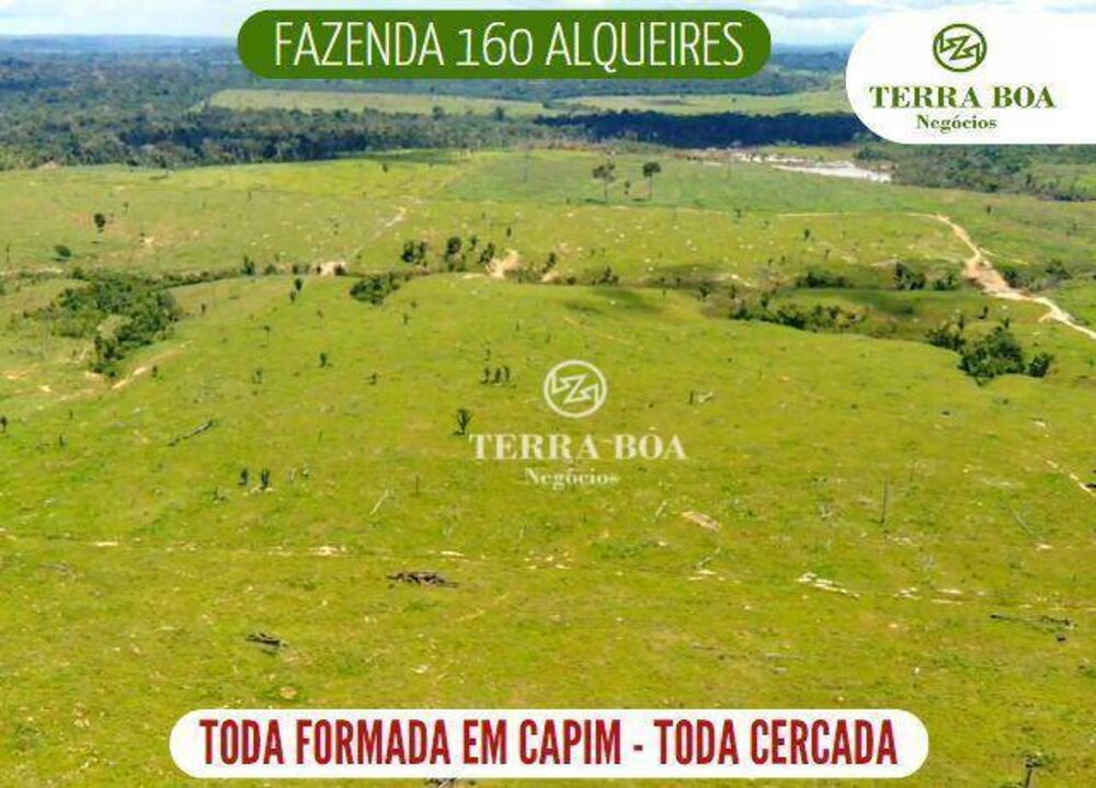 Fazenda, 387 hectares - Foto 1