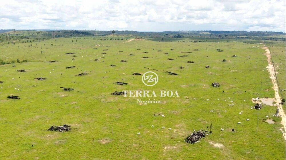 Fazenda, 387 hectares - Foto 3