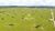 Fazenda, 387 hectares - Foto 3