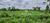 Fazenda, 5027 hectares - Foto 4
