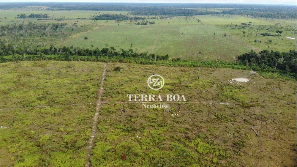 Sítio, 75 hectares - Foto 9