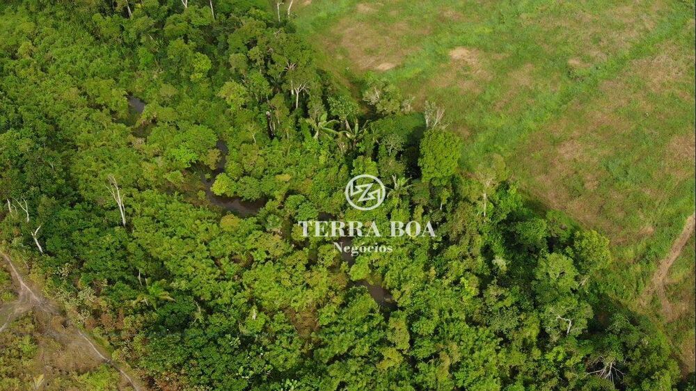 Sítio, 75 hectares - Foto 1