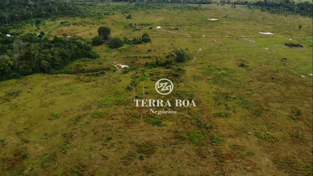 Sítio, 75 hectares - Foto 16