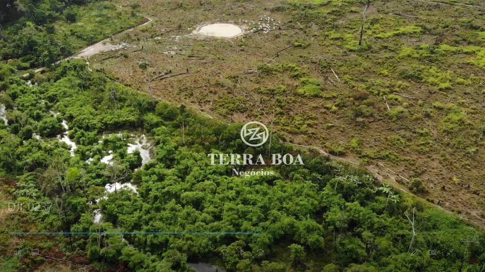Sítio, 75 hectares - Foto 4
