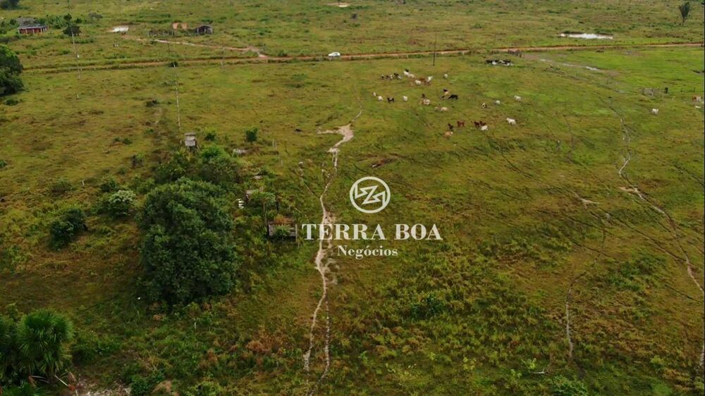 Sítio, 75 hectares - Foto 4