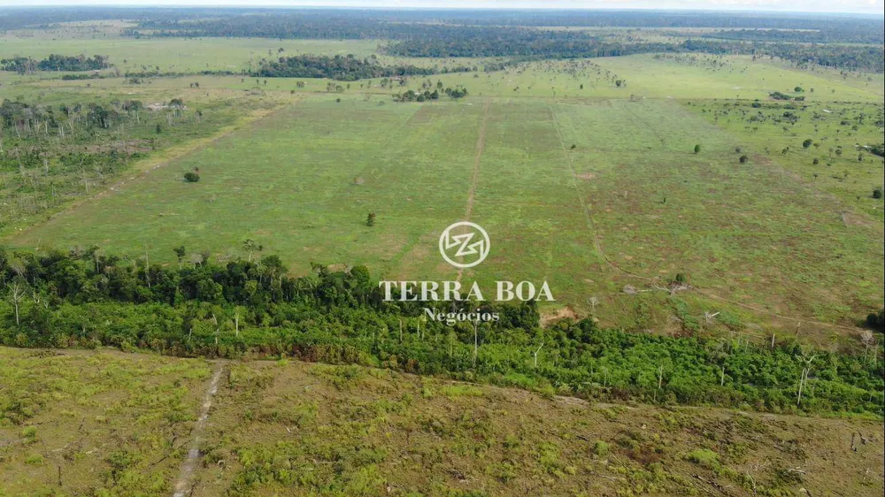 Sítio, 75 hectares - Foto 14