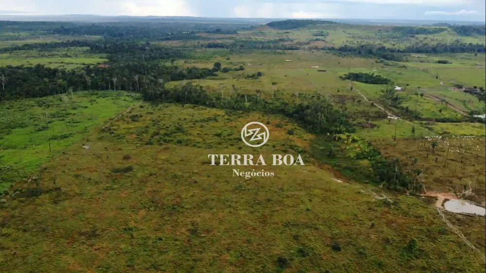 Sítio, 75 hectares - Foto 15