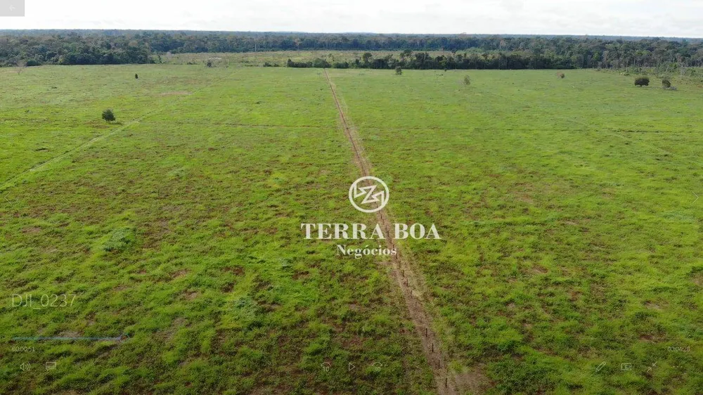 Sítio, 75 hectares - Foto 10