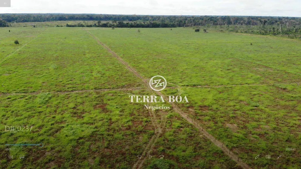 Sítio, 75 hectares - Foto 18